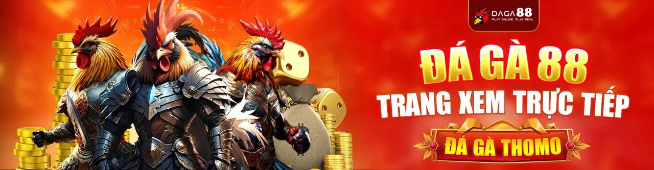 i9bet141 khuyến mãi độc quyền cho thành viên