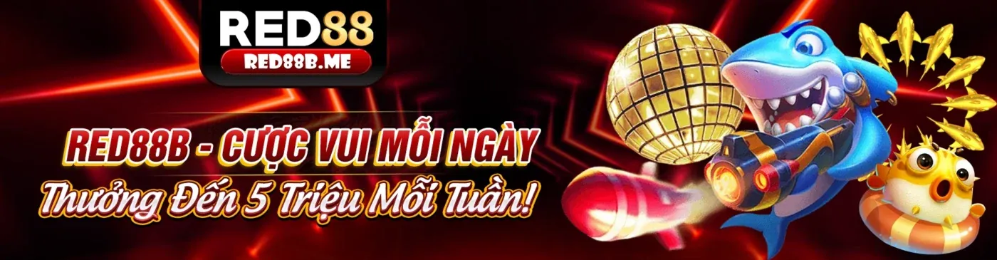 Chính sách Cookie i9bet141 khuyến mãi