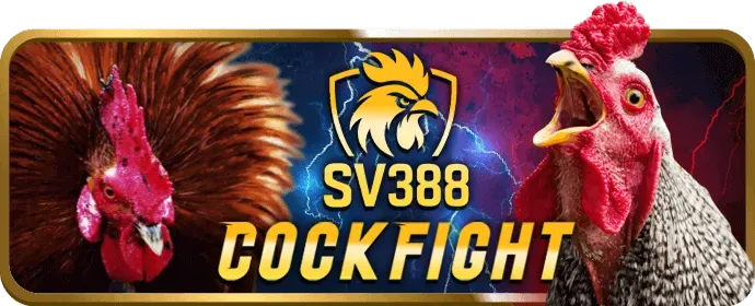 Thẻ Cào Điện Thoại i9bet141 khuyến mãi